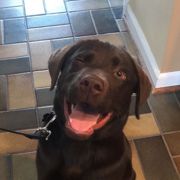 Meet your Posher, Megan - Picture 1 of 1